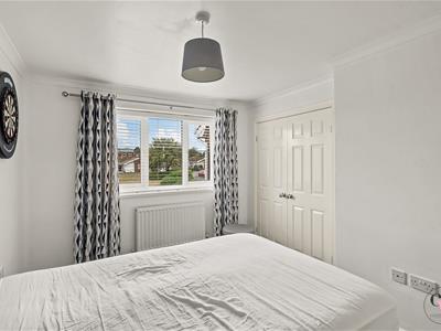 Picture 15